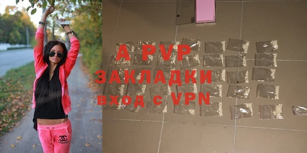 apvp Белокуриха