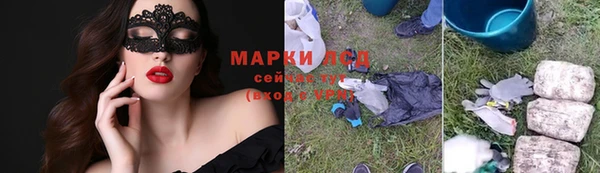 шишки Белоозёрский