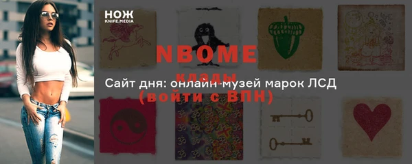шишки Белоозёрский
