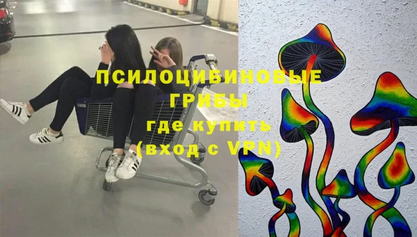 apvp Белокуриха
