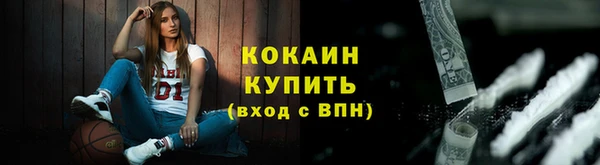 шишки Белоозёрский
