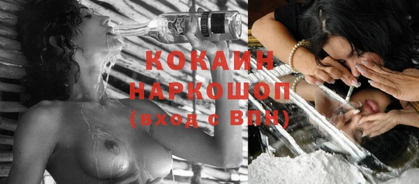 шишки Белоозёрский