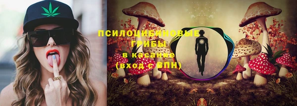 амф Беломорск