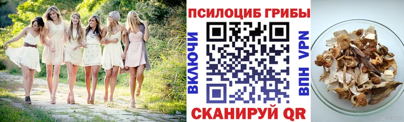 Псилоцибиновые грибы ЛСД  darknet официальный сайт  Сланцы 